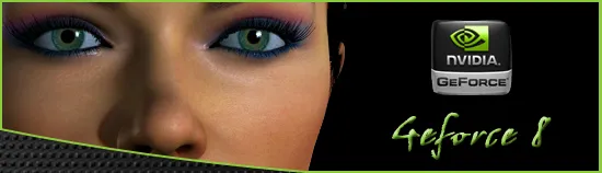廉颇虽老其勇犹在 NVIDIA新老显卡排排座